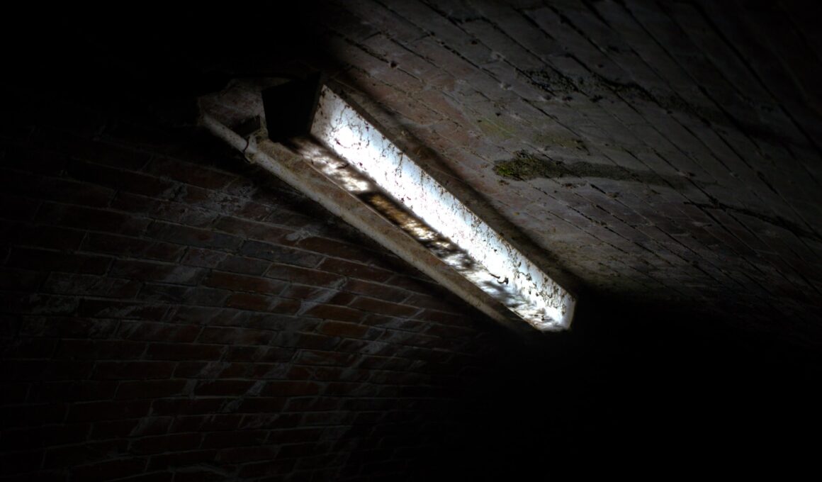 a dark room with a window and a brick wall